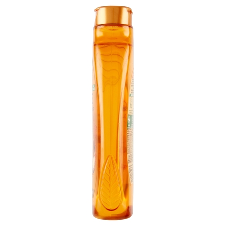 Garnier Ultra Dolce Shampoo Meraviglioso all'olio d'argan e di camelia per capelli secchi, 300 ml